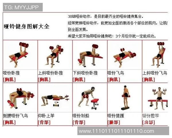 哑铃健身打造完美胸肌的有效训练方法与技巧分享